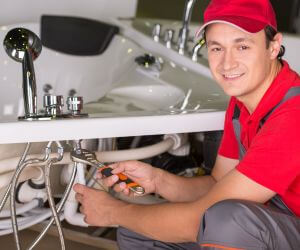 About Plumbers Pros Harrietta, MI